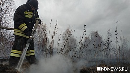 Риски возгорания торфяников в Екатеринбурге сохраняются
